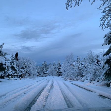 Village Suites Inn - American Black Bear - Perfect Location, In The Village! Can'T Be Better! Big Bear Lake Buitenkant foto